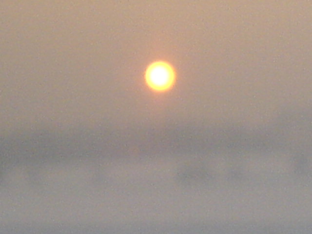 DSC03403.JPG